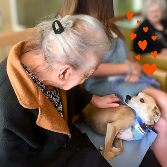 vieille dame chien heureuse visite