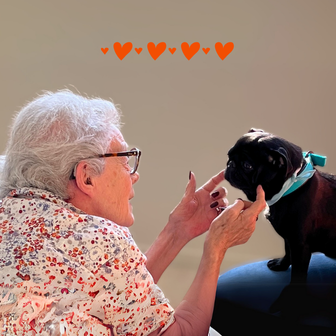 vieille dame chien heureuse visite